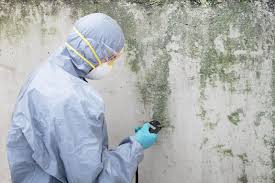 Best Commercial Mold Inspection  in Soquel, CA